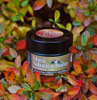 Krēmi sausai ādai un kā kopt sausu ādu