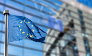 We assess the suitability of products for foreign markets