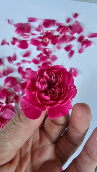Natural Soap ROSE, 85 g