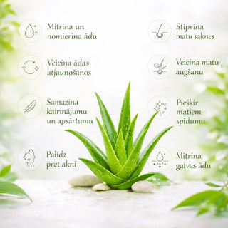 Alvejas želeja un ūdens iedarbība uz matiem un ādu un pēc sauļošanās pret apdegumiem