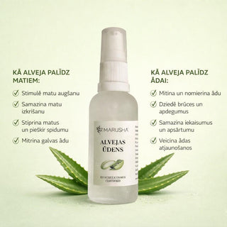 Alveja un alvejas sula sejai un matiem un alvejas iedarbība sejai un matiem