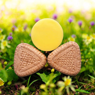 Matu kopšanas komplekts  cietie šampūni un cietais kondicionieris bez iepakojuma zero waste 