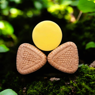 Dabīgs matu kopšanas komplekts ikdienai bez iepakojuma un bez plastmasas ar diviem cietajiem šampūniem un ar vienu matu cieto kondicionieri