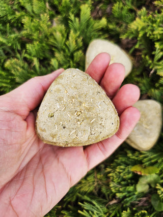 Cietais šampūns ar kumelīti rokās