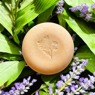 Bar of lavender soap with a leaf design on a background of green leaves and purple flowers