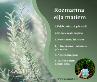 Rozmarīns matiem un Rozmarīna Matu eļļas labās īpašības