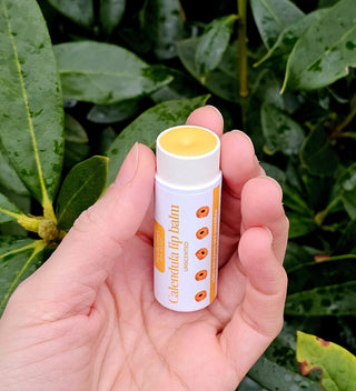 Hand holding a lip balm tube with a green leafy background