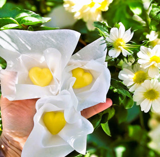 Roku sviesti sausai ādai iepakoti zīda papīrā